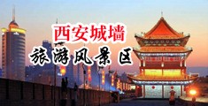 屈辱的女将校中国陕西-西安城墙旅游风景区